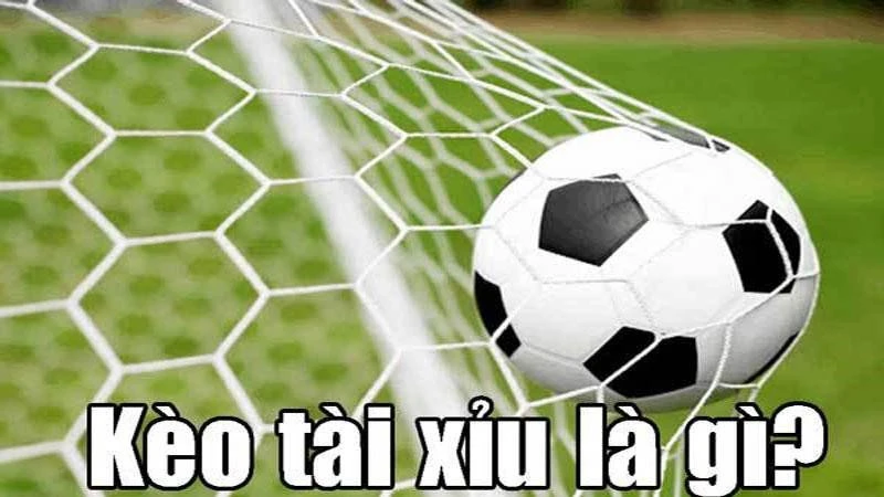 Hướng dẫn chơi kèo tài xỉu tại dafabet