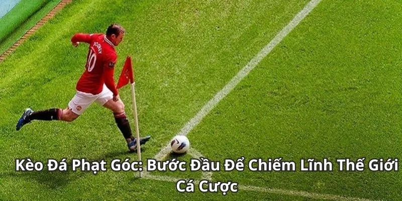Hướng dẫn chơi kèo phạt góc dễ thắng