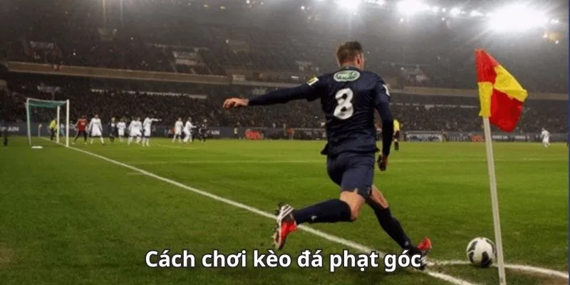 Kèo phạt góc tại dafabet